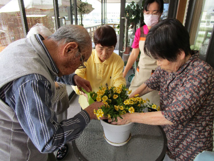 白いはと通信 萬弘寺の市　2018年5月  写真4