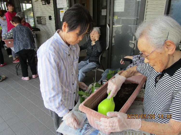 白いはと通信 お花見　2020年4月  写真1