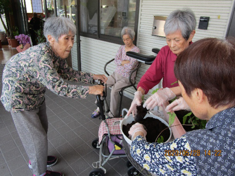 白いはと通信 お花見　2020年4月  写真4