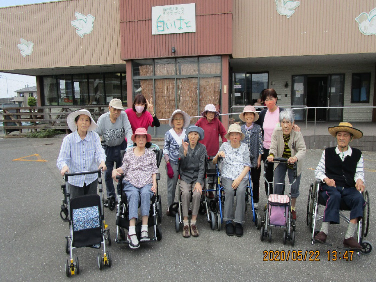 白いはと通信 お花見　2020年4月  写真5