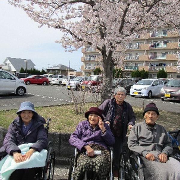 白いはと通信 -----　2022年04月  写真4