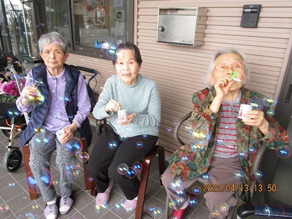 白いはと通信 ----- 2022年04月 写真5