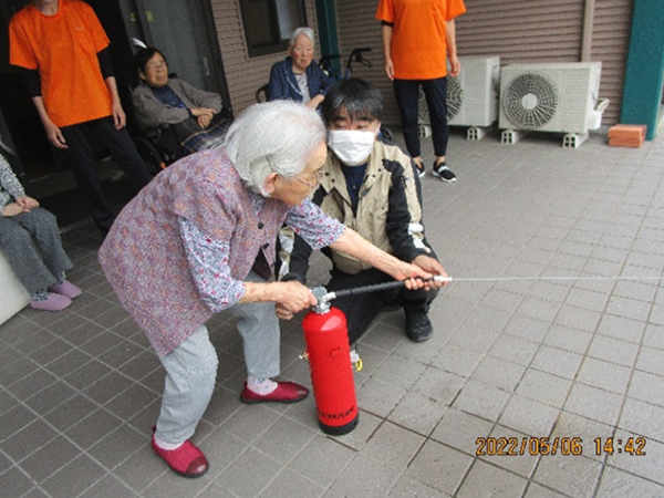 白いはと通信 -----　2022年05月  写真2