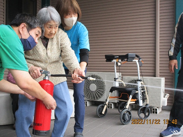 白いはと通信 -----　2022年11月  写真3