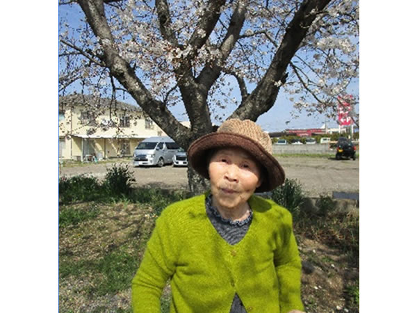 白いはと通信 ----- 2023年04月 写真1