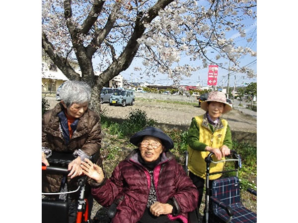白いはと通信 ----- 2023年04月 写真2