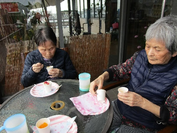 白いはと通信 ----- 2023年04月 写真3