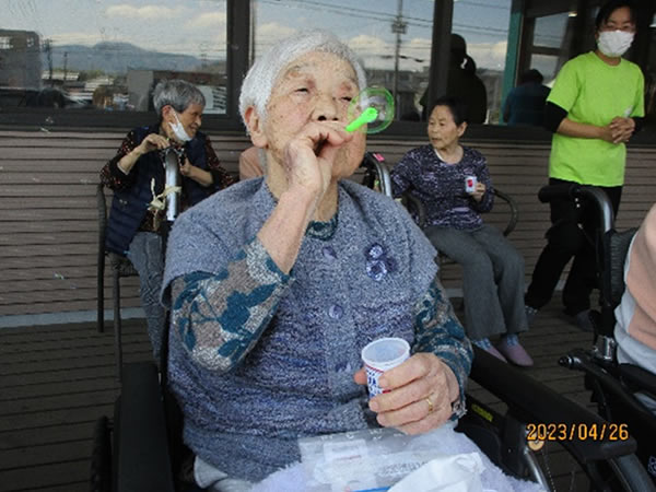 白いはと通信 ----- 2023年04月 写真5