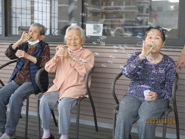 白いはと通信 ----- 2023年04月 写真6
