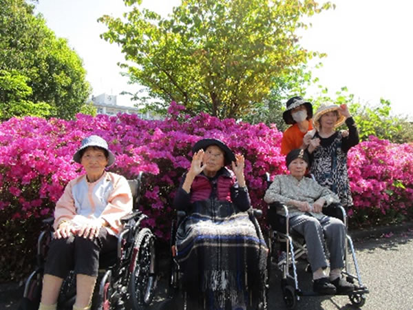 白いはと通信 ----- 2023年05月 写真1