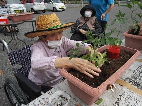 白いはと通信 -----　2023年05月  写真5