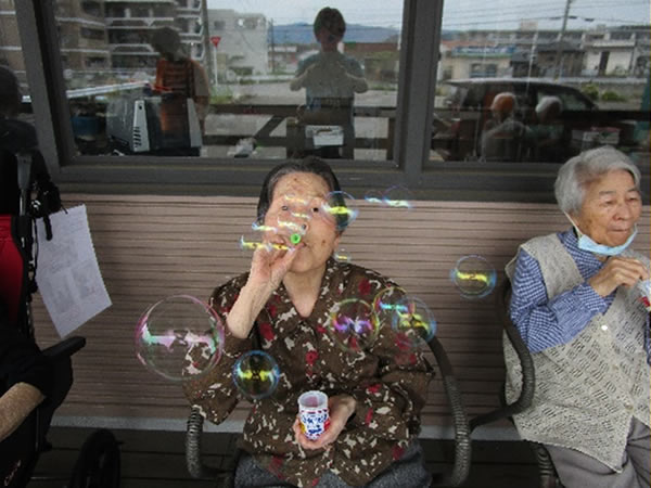 白いはと通信 ----- 2023年06月 写真1