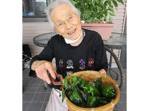 白いはと通信 ----- 2023年07月 写真1