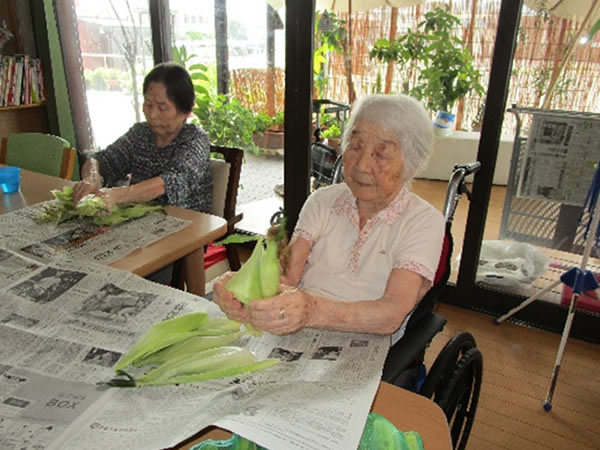 白いはと通信 ----- 2023年07月 写真4