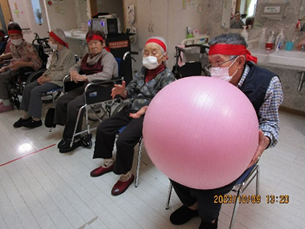 白いはと通信 ----- 2023年10月 写真2