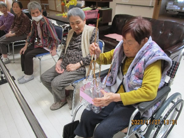 白いはと通信 ----- 2023年11月 写真6