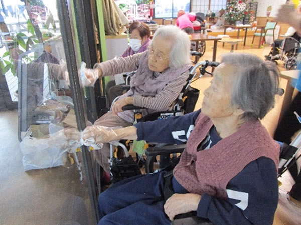 白いはと通信 ----- 2023年12月 写真2