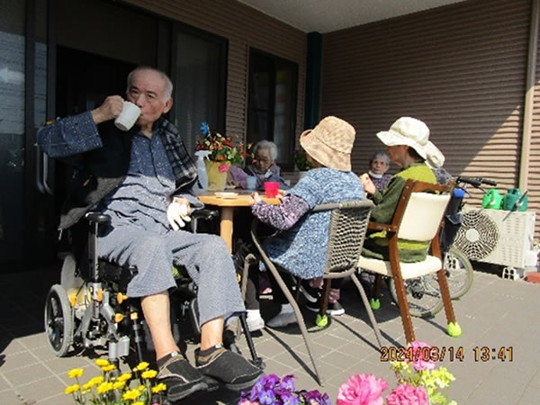 白いはと通信 ----- 2024年03月 写真4