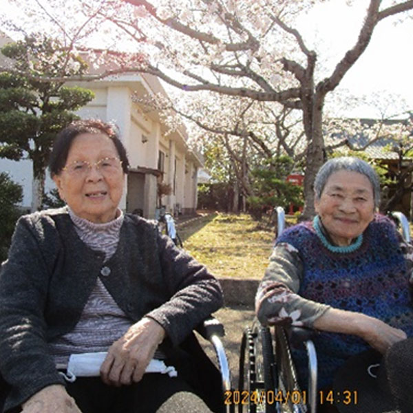 白いはと通信 ----- 2024年04月 写真1