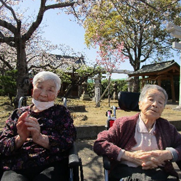 白いはと通信 ----- 2024年04月 写真2