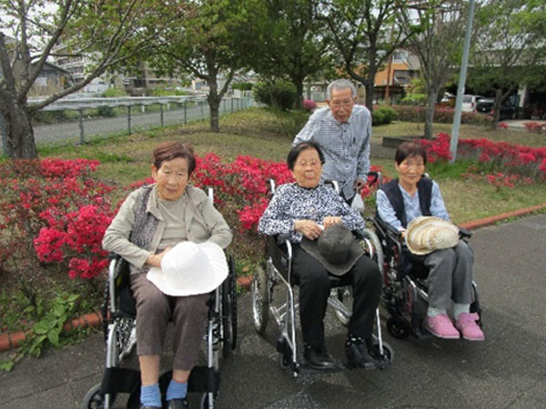 白いはと通信 ----- 2024年04月 写真3