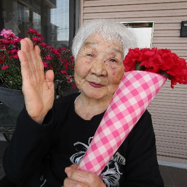 白いはと通信 ----- 2024年05月 写真1