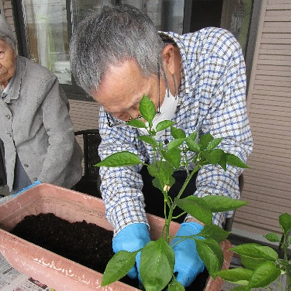白いはと通信 ----- 2024年05月 写真5