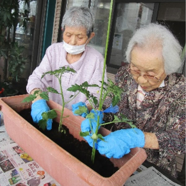 白いはと通信 ----- 2024年05月 写真6