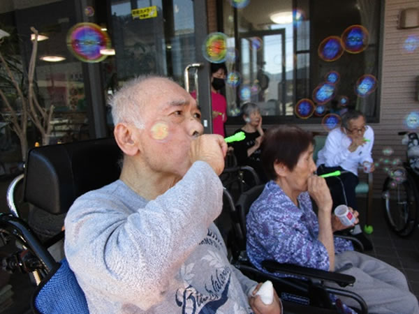 白いはと通信 ----- 2024年06月 写真2