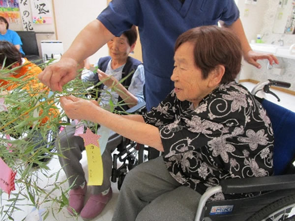 白いはと通信 ----- 2024年07月 写真2
