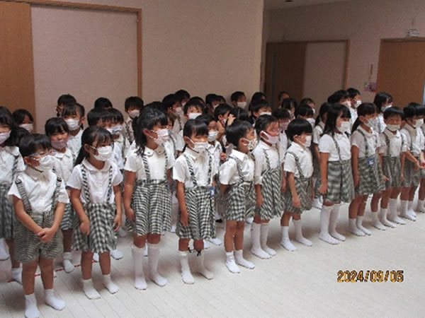 白いはと通信 ----- 2024年09月 写真1