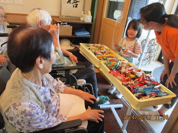 白いはと通信 ----- 2024年09月 写真4