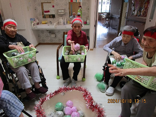 白いはと通信 ----- 2024年10月 写真4
