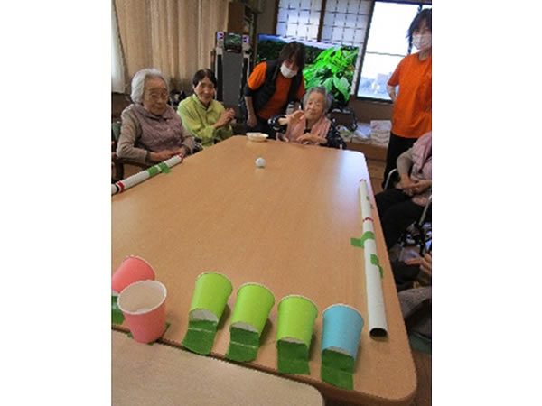白いはと通信 ----- 2025年01月 写真4