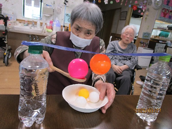 白いはと通信 ----- 2025年03月 写真4