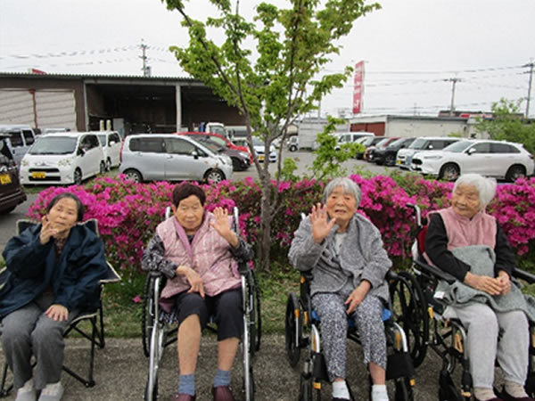 白いはと通信 ----- 2025年04月 写真2