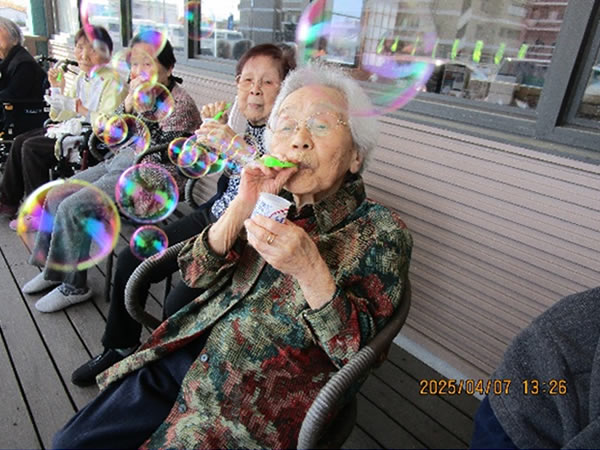 白いはと通信 ----- 2025年04月 写真4