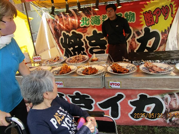白いはと通信 ----- 2025年05月 写真3