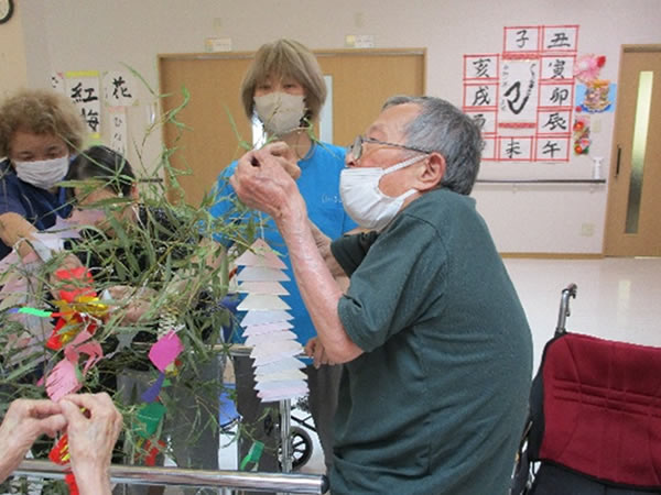 白いはと通信 ----- 2025年06月 写真6
