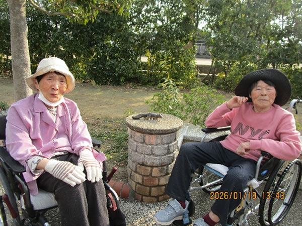 白いはと通信 -----　2026年01月  写真6