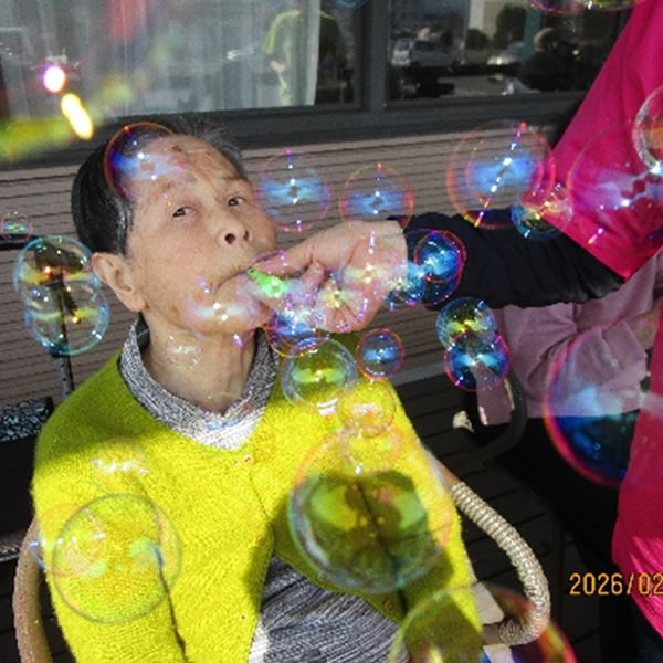 白いはと通信 ----- 2026年02月 写真4