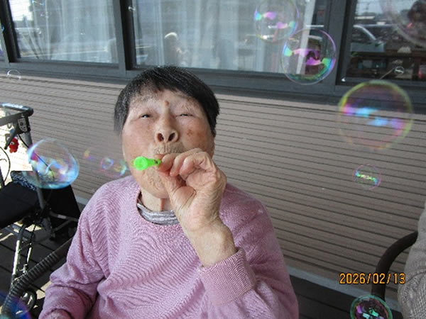 白いはと通信 ----- 2026年02月 写真6