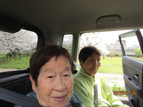 白いはと通信 ----- 2026年04月 写真2