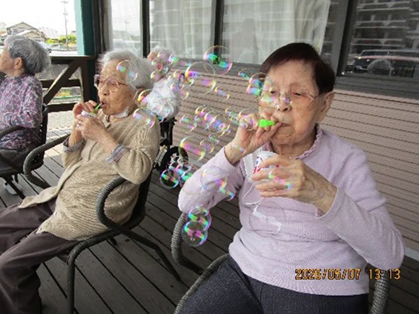 白いはと通信 ----- 2026年05月 写真3