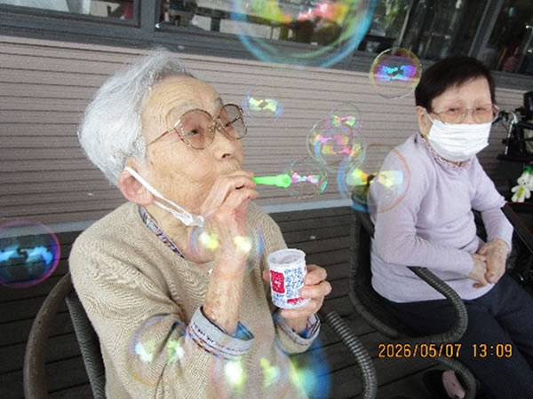 白いはと通信 ----- 2026年05月 写真4