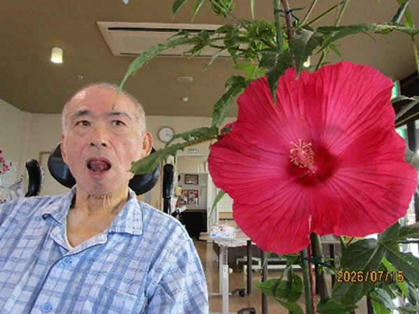 白いはと通信 -----　2026年07月  写真5