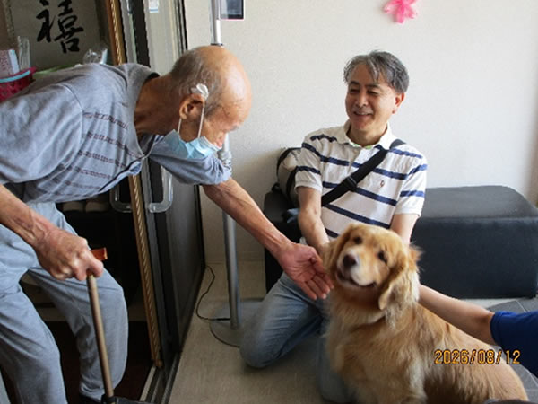 白いはと通信 ----- 2026年08月 写真6